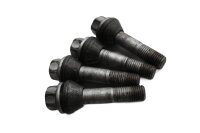 Wheel bolt set, spacer, rear wheel rim BMW R 1200 CL 0442 K30 259C 03-05