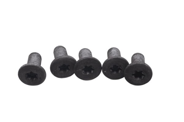 Set Torx-bouten voor de achterremschijf BMW R 1200 GS K25 0307 R12 04-07