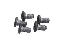 Set Torx-bouten voor de achterremschijf BMW R 1200 GS K25 0307 R12 04-07