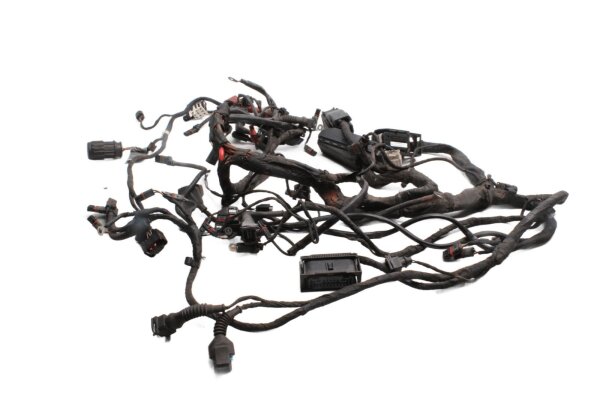 Kabelhärva, huvudkabelhärva, elsystem, styrenhet BMW R 1200 GS K25 0307 R12 04-07