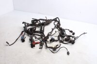 Kabelhärva, huvudkabelhärva, elsystem, styrenhet BMW R 1200 GS K25 0307 R12 04-07