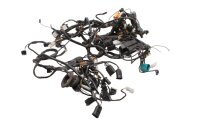 Kabelbaum Hauptleitungssatz Elektrik Zündung BMW R 1200 CL 0442 K30 259C 03-05