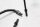 ABS line, front brake line BMW R 1200 CL 0442 K30 259C 03-05
