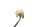Sensor ABS, sensor de velocidad de la rueda trasera, frenos BMW R 1200 CL 0442 K30 259C 03-05