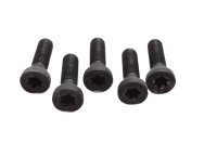 Radbolzen Satz Hinterrad Befestigung Felge BMW R 1200 GS K25 0307 R12 04-07