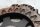 Kit dembrayage, plateau de pression, disque entraîné 330 02 BMW R 1100 RT 259 0413 96-01