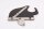 Oikean etulokasuojan peltisuoja BMW R 1150 GS R21 0415 99-04