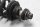 Jambe de force avant, amortisseur, suspension, ressort, suspension BMW R 1100 RT 259 0413 96-01