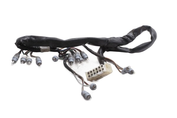Instrumentbelysning, ledningsnät, cockpitdisplay BMW R 1100 RT 259 0413 96-01