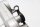 Övre gaffelbryggans styrlagerfäste BMW R 1150 GS R21 0415 99-04