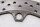 Front left drilled brake disc, brake system 5.1mm BMW R 1100 GS 259 0409 93-99