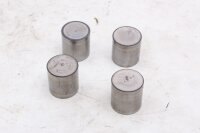 Hydraulische klepstoterset, nokkenas links en rechts BMW R 1100 GS 259 0409 93-99