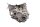 Getriebegehäuse Schaltgetriebe Antrieb BMW R 1200 GS K25 0307 R12 04-07