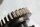Vaihteiston akseli, vaihdeakseli, vaihdelaatikko BMW K 1300 R K43 0518 09-15