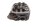 Topplock, ventilkåpa vänster, ventilfjädrar BMW R 1150 GS R21 0415 99-04