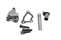 Set spanrails voor distributiekettingspanner BMW R 1200 GS K25 0307 R12 04-07
