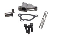 Set spanrails voor distributiekettingspanner BMW R 1200 GS K25 0307 R12 04-07