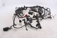 Main wiring harness, electrical system, ignition, complete, many BMW R 1200 GS K25 0307 R12 04-07