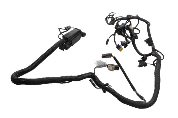 Johtosarja, ruiskutusjärjestelmä, sytytysjärjestelmä, päälinja BMW K 1300 R K43 0518 09-15