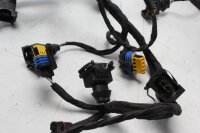 Johtosarja, ruiskutusjärjestelmä, sytytysjärjestelmä, päälinja BMW K 1300 R K43 0518 09-15