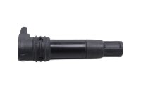 Tändspole, enkel tändning, högspänningständning BMW R 1200 GS K25 0307 R12 04-07