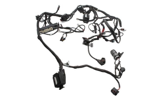 Kabelhärva, huvudkablage, kontakter, elsystem BMW K 1300 R K43 0518 09-15