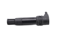 Zündspule Einzelzündspule Stabzündspule Zündung BMW R 1200 GS K25 0307 R12 04-07