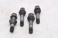 Achterwielboutenset, velgmontage BMW R 1100 GS 259 0409 93-99