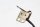 Achterremlichtschakelaar hydraulisch remcontact BMW R 1150 GS R21 0415 99-04