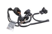 Kabelbaum Einspritzung Sensoren Stecker BMW R 1200 C 259C...