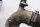 Coolant hose set, water hose BMW K 1200 RS K589 0544 97-00