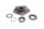 Radnabe Achse Lager Tachoschnecke hinten Ducati Multistrada 1000 DS A1 03-06