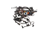 Mazo de cables, mazo de cables principal, sistema...