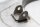 Support de fourche de guidage pour laxe du bras oscillant avant BMW R 1100 GS 259 0409 93-99