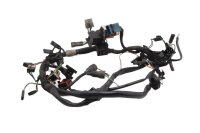 Wiring harness, main wiring set, electrical system, fuse...