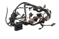 Wiring harness, main wiring set, electrical system, fuse...