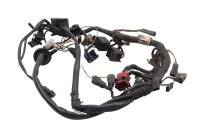 Wiring harness, main wiring set, electrical system, fuse connections BMW R 80 247 84-93