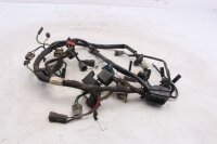 Wiring harness, main wiring set, electrical system, fuse connections BMW R 80 247 84-93