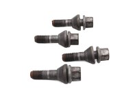 Rear wheel hub screw set, chainring carrier mounting BMW...