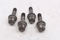 Rear wheel hub screw set, chainring carrier mounting BMW R 80 247 84-93