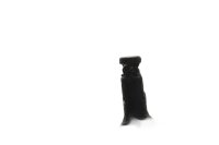 Side stand side stand spring S2F Suzuki GSF 1200 S Bandit WVA9/S 01-05