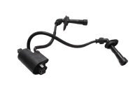 Ignition coil, ignition cables, spark plug connectors...