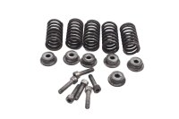 Kupplungsfedern Schrauben Set Ducati Multistrada 1000 DS...