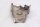 Avgasskydd, värmesköld, nedre värmesköld BMW K 1200 S K40 K12S 0581 05-08