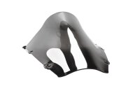 tinted windscreen, fairing screen, front windscreen Honda CBR 600 RR PC37 03-04