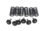 Molle della frizione, viti, cestello della frizione BMW G...