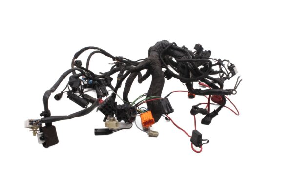 Wiring harness, main wiring set, fuse box BMW F 650 GS Dakar R13 0176 00-03