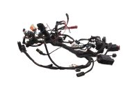 Wiring harness, main wiring set, fuse box BMW F 650 GS Dakar R13 0176 00-03