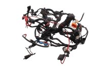 Wiring harness, main wiring set, fuse box BMW F 650 GS Dakar R13 0176 00-03