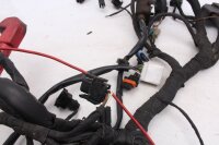 Wiring harness, main wiring set, fuse box BMW F 650 GS Dakar R13 0176 00-03
